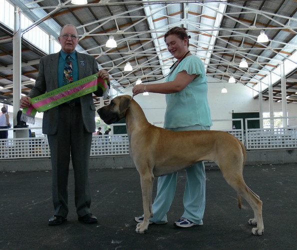 Mia - Runner Up to Best Exhibit in Show at garden State Kennel Club.  The judge was Mr B Fears from New Zealand.