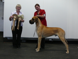 Chase - Best in Show, Whittlesea Kennel Club, 21 October 2007.  The judge was Mrs J Montford (NSW).