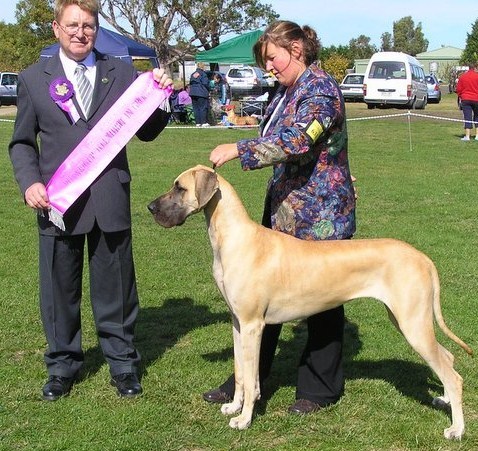 Mia - Runner Up to Best Exhibit in Group at the Town & Country Kennel Club show on 16 April 2006 under Mr A Fry 