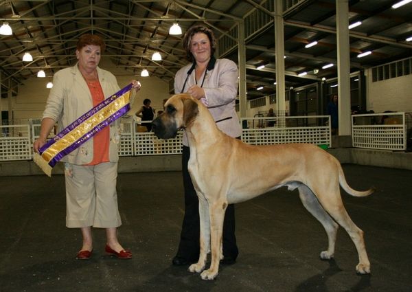 Chase - BEST IN SPECIALTY SHOW - November 2007